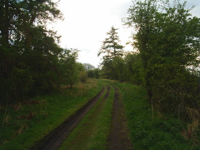 Allendale Railway