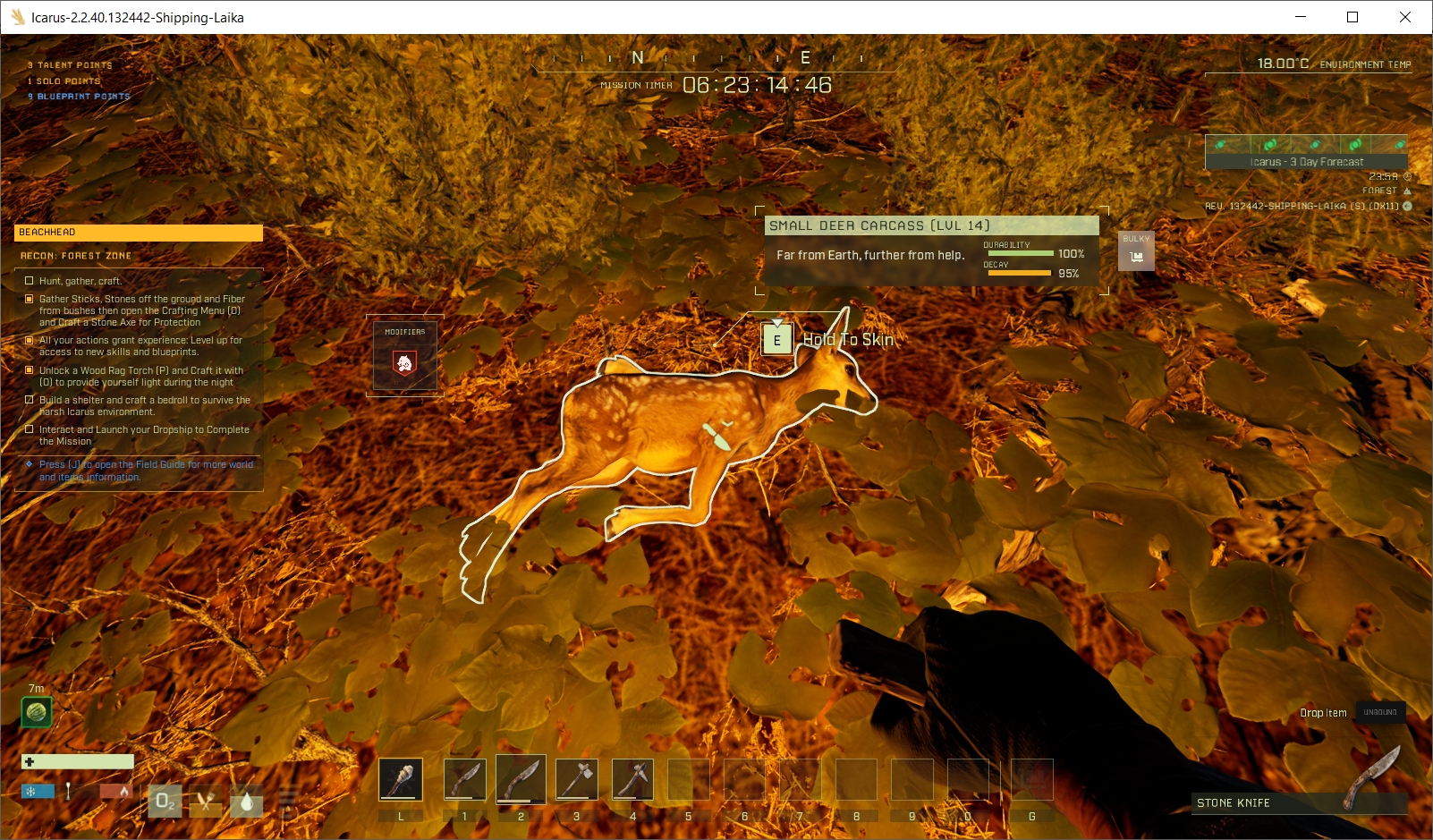 Deer