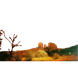 Foreground Silhouette