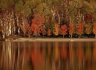 An autumn scene in Ontario
